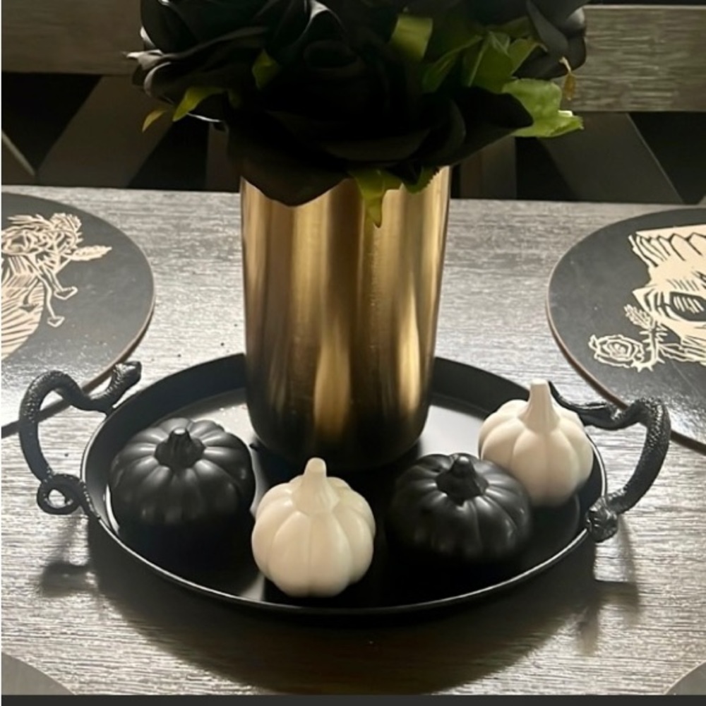 Matte Black Metal Snake Handle Tray for Halloween